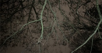 Katie Unprepossessed&#39;s Top 100 Movies