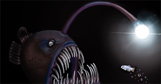 Weird Food You Must Try Before You Die