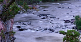 Books LB Has Read (Published 1951-1960)