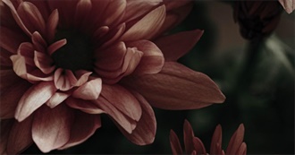 What Anime I&#39;ve Not Watched Have YOU Watched