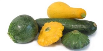 Types of Squash