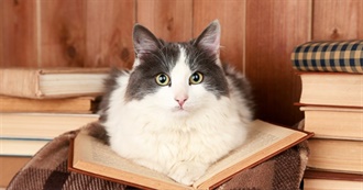 Poetry Revolverbunny Enjoys