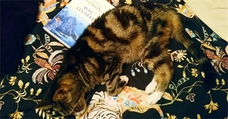 C&#233;line&#39;s Reading List 2024