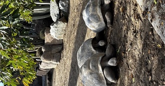 MFP&#39;s 100 Movies