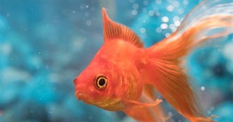 Something Fishy About These Books