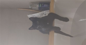 Summer&#39;s 100 Books