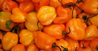 Orange Wanna Try Foods