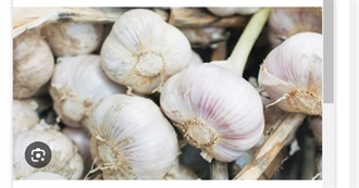 Big T&#39;s Food Eaten Today 849