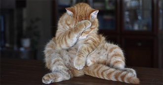 AJ&#39;s Humiliation List