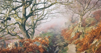 Favorite Nineteenth Century Fiction