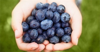 Bountiful Blueberries
