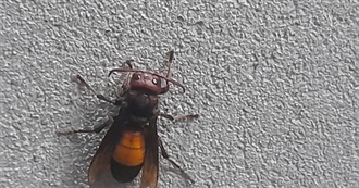 Nilay&#39;s 14 Best Films- 2004