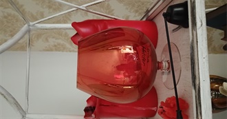 Formative Chronicles