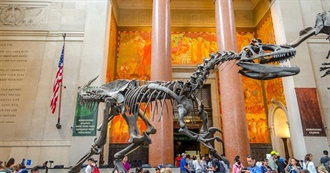 Coolest Museums in US by State