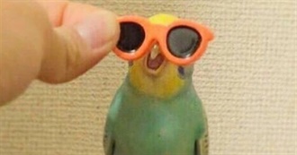 Danny&#39;s Fav Movies