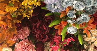 Azalea&#39;s Favorite Movies