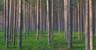 50 Things to See in Estonia