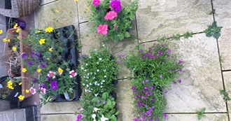 English Cities Julie Has Visited