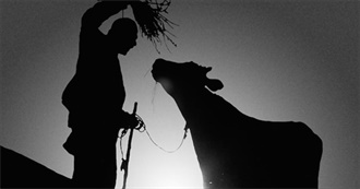 10 Films That Introduce You to Iranian Cinema