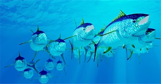 List of Foods I&#39;ve Never Tried **A&#39;s