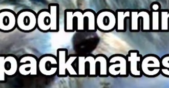 Trabis&#39;s Top 40 :)