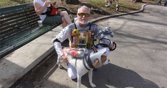 Movies Where Dogs Play a Big Part (In the Film)