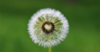 2021 Releases H Is Excited About!