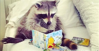 Books House Raccoon Read in 2024