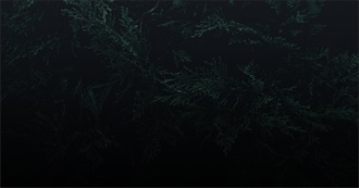 Nora&#39;s Music Menagerie