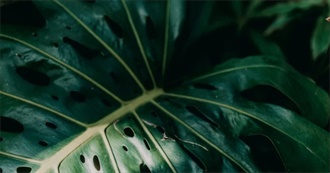 Bennett&#39;s Top 100 Movies &lt;3