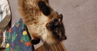 75 Filmes Favoritos Da Brenda