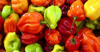 ARE YOU HOT ENOUGH???