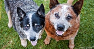 Blair&#39;s Favourite Things