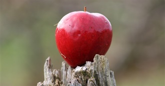 What Ray Ate - Day 461