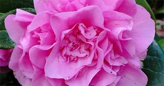 February 2024 Bookbub Blog Choices