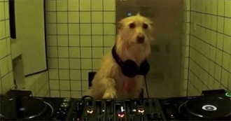 Leah Seeraphina&#39;s Favourite Movies ✌️