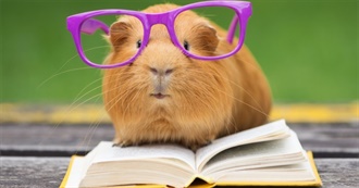 Quebec Writers&#39; Federation Award Winners