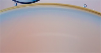 Movies (Mostly Indie) From the 2010s