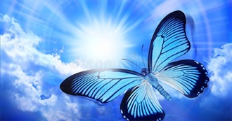 Theology/Spirituality