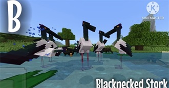 Serena&#39;s Animal Alphabet