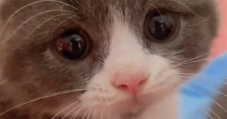 Songs That&#39;ll Make Your Eyes Water