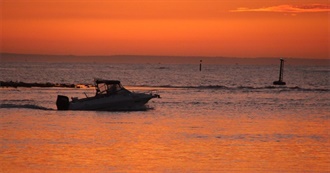 What Series Have You Watched