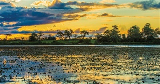 10 Best Places to Visit in Florida