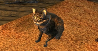 Films the Wizard Has Actually Seen