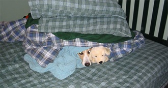 Alex&#39;s Favourite Movies (That He Can Remember Right Now)