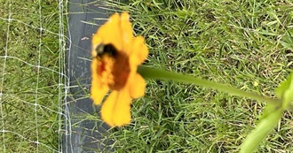 Locations I&#39;ve Been to in Massachusetts