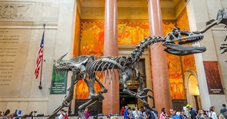 Ultimate List of Museums in New York City