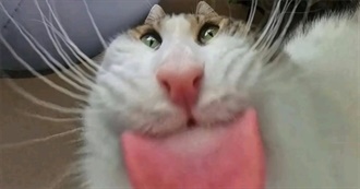 Leo&#39;s List of Loves