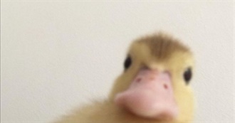 Ying&#39;s 100 Important Books