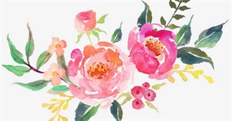 List of Common Flowers